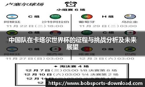 中国队在卡塔尔世界杯的征程与挑战分析及未来展望
